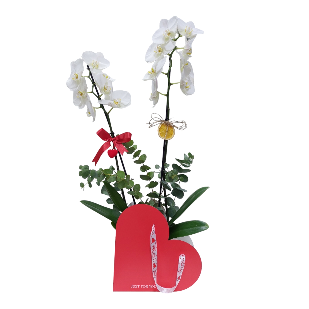 Double%20Branch%20White%20Orchid%20in%20Heart%20Bag%20Box